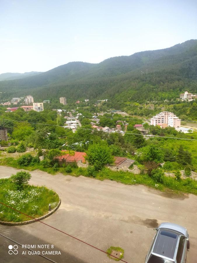Alena'S Flat Apartment Borjomi Exterior photo
