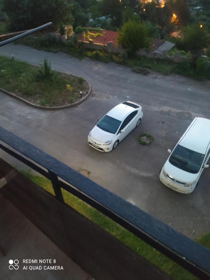 Alena'S Flat Apartment Borjomi Exterior photo