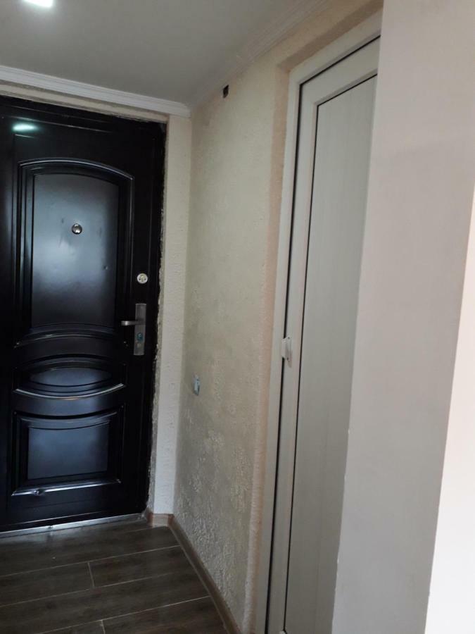 Alena'S Flat Apartment Borjomi Exterior photo